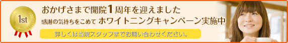 日本ビスカ株式会社